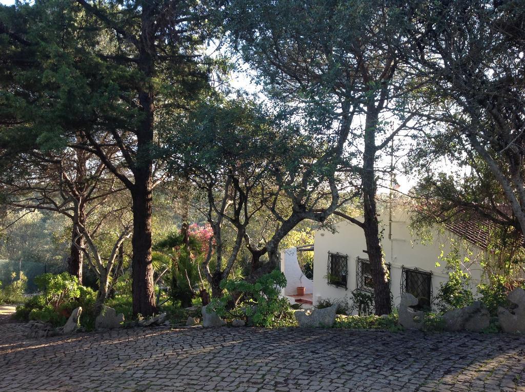 Holiday home Quinta Do Alecrim *