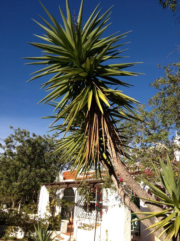 Quinta Do Alecrim Holiday home *