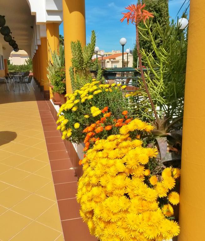 Rialgarve
