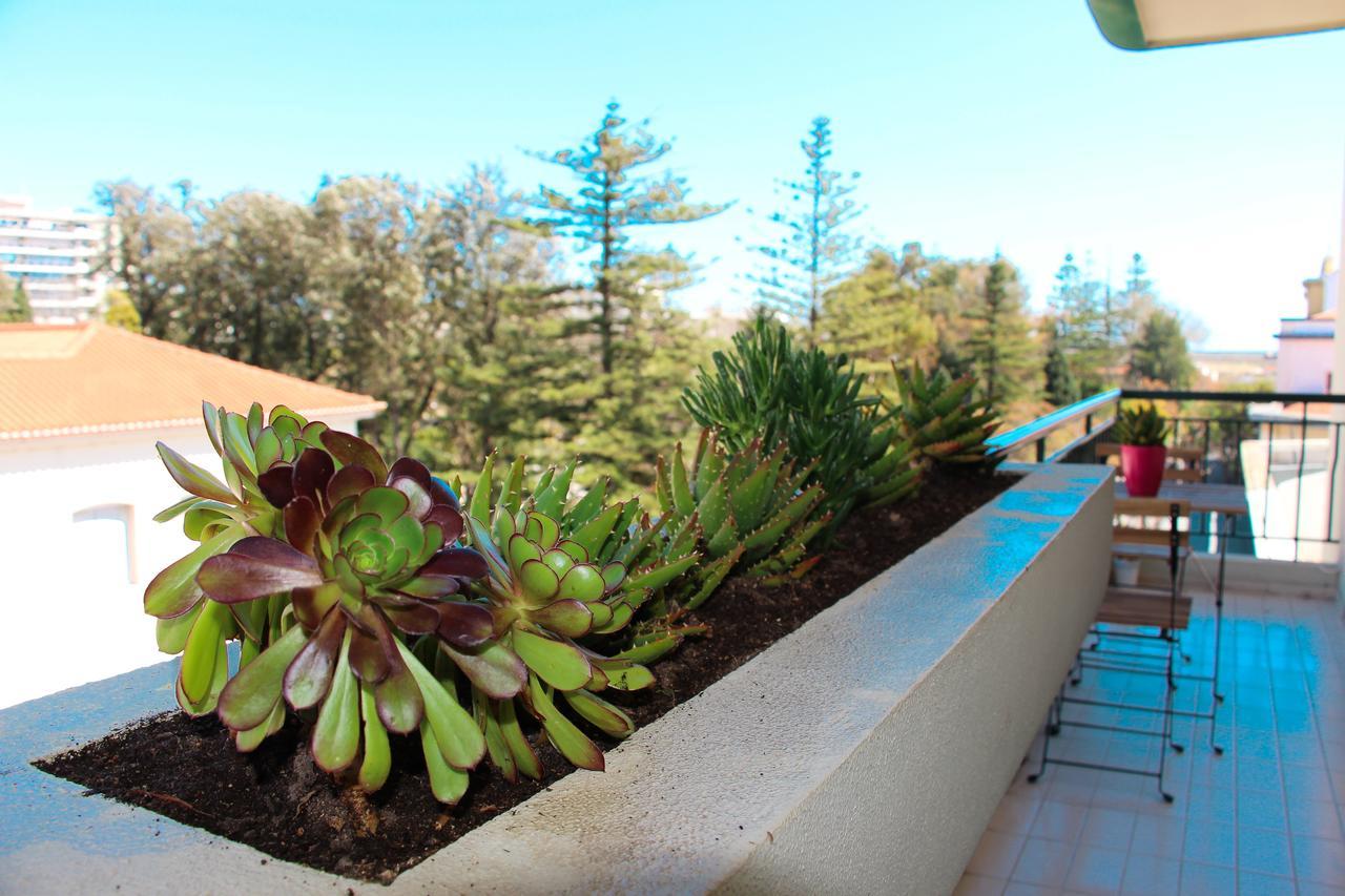 Alameda Garden