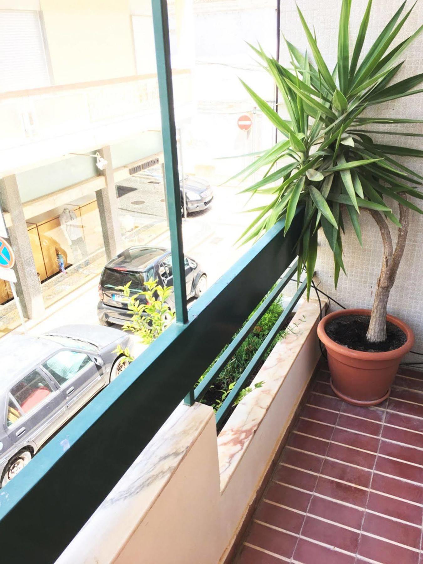 Apartment Lemon Tree *