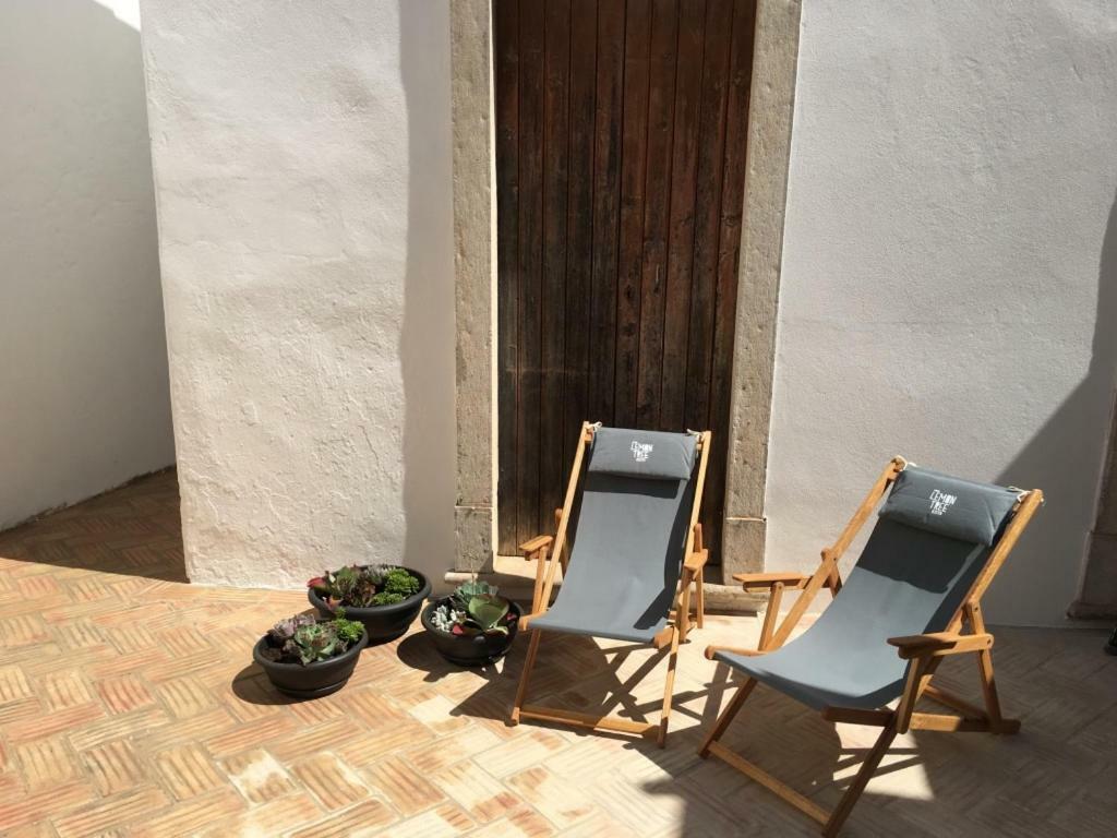 Lemon Tree Urban Camping *