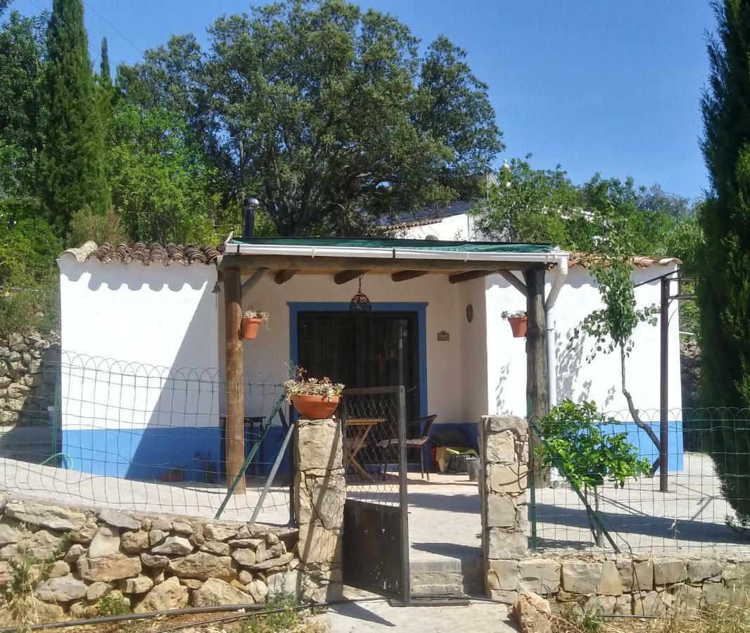 Holiday home Casinha Do Sul *