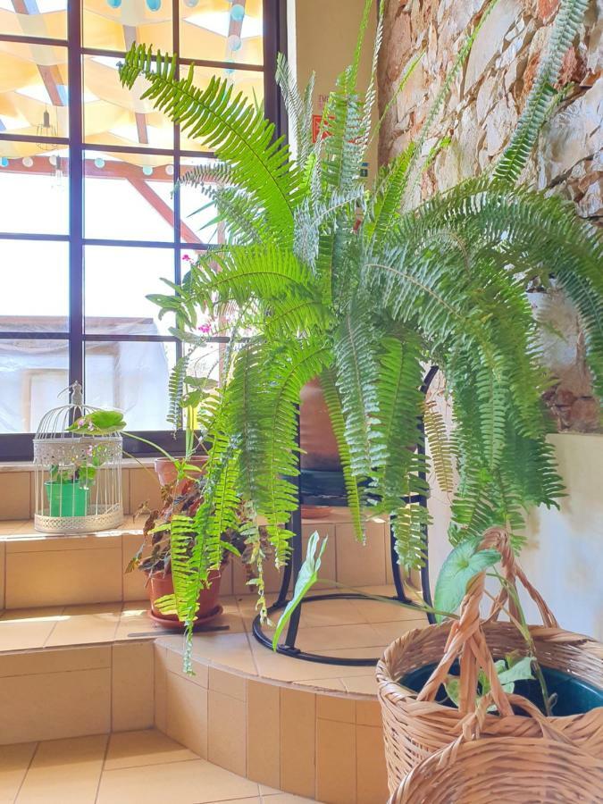 Hostel Sunlight House