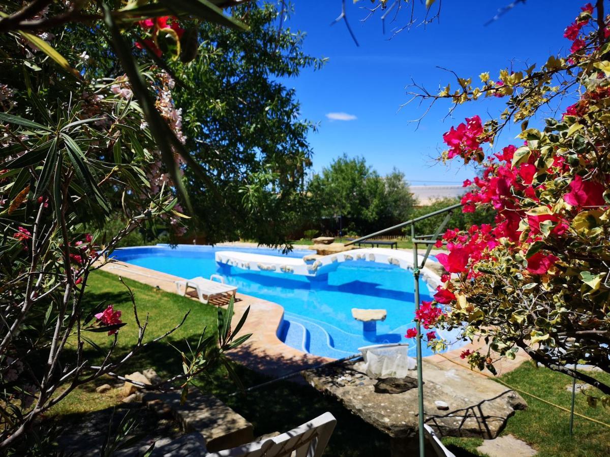 Holiday home Casa De Pedra E Cal Faro