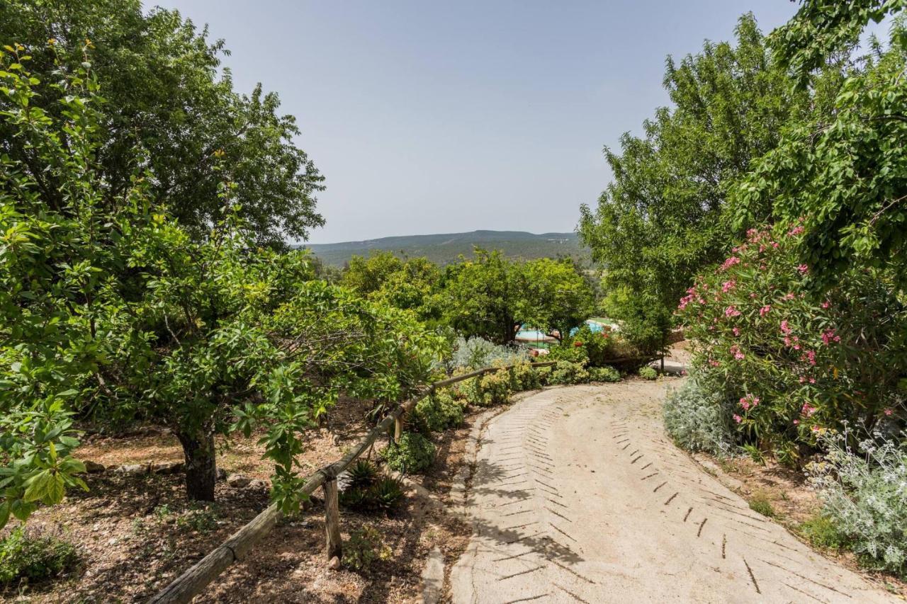Casa Amoreira - Quinta Amoreira