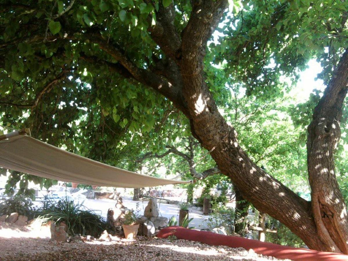 Casa Amoreira - Quinta Amoreira Faro