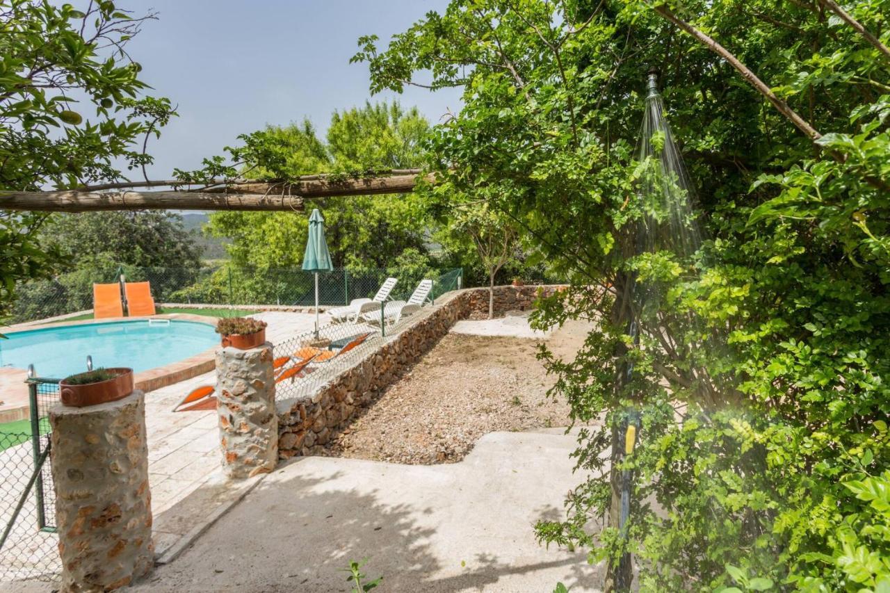 Casa Amoreira - Quinta Amoreira *
