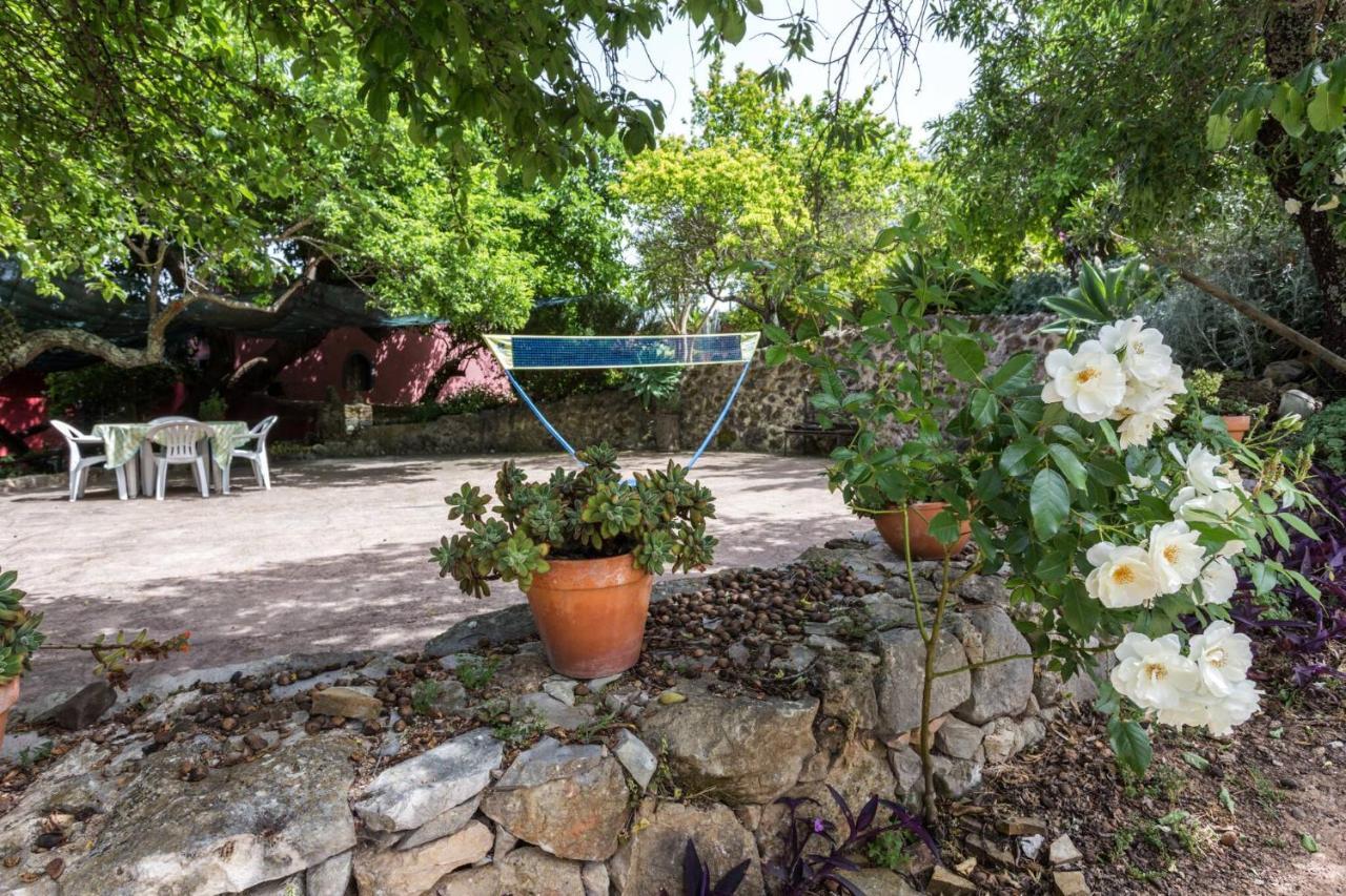 Casa Amoreira - Quinta Amoreira Lodge
