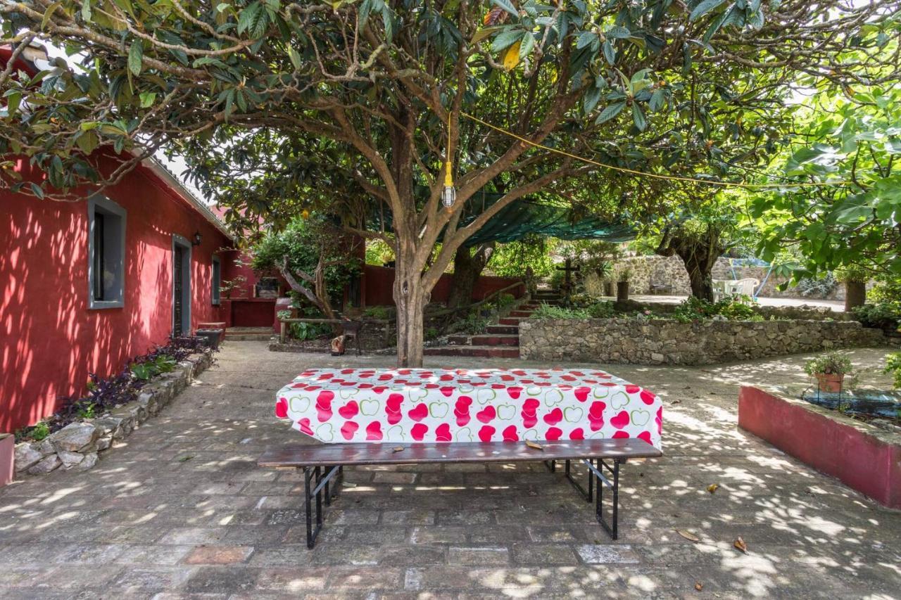 Lodge Casa Amoreira - Quinta Amoreira Faro