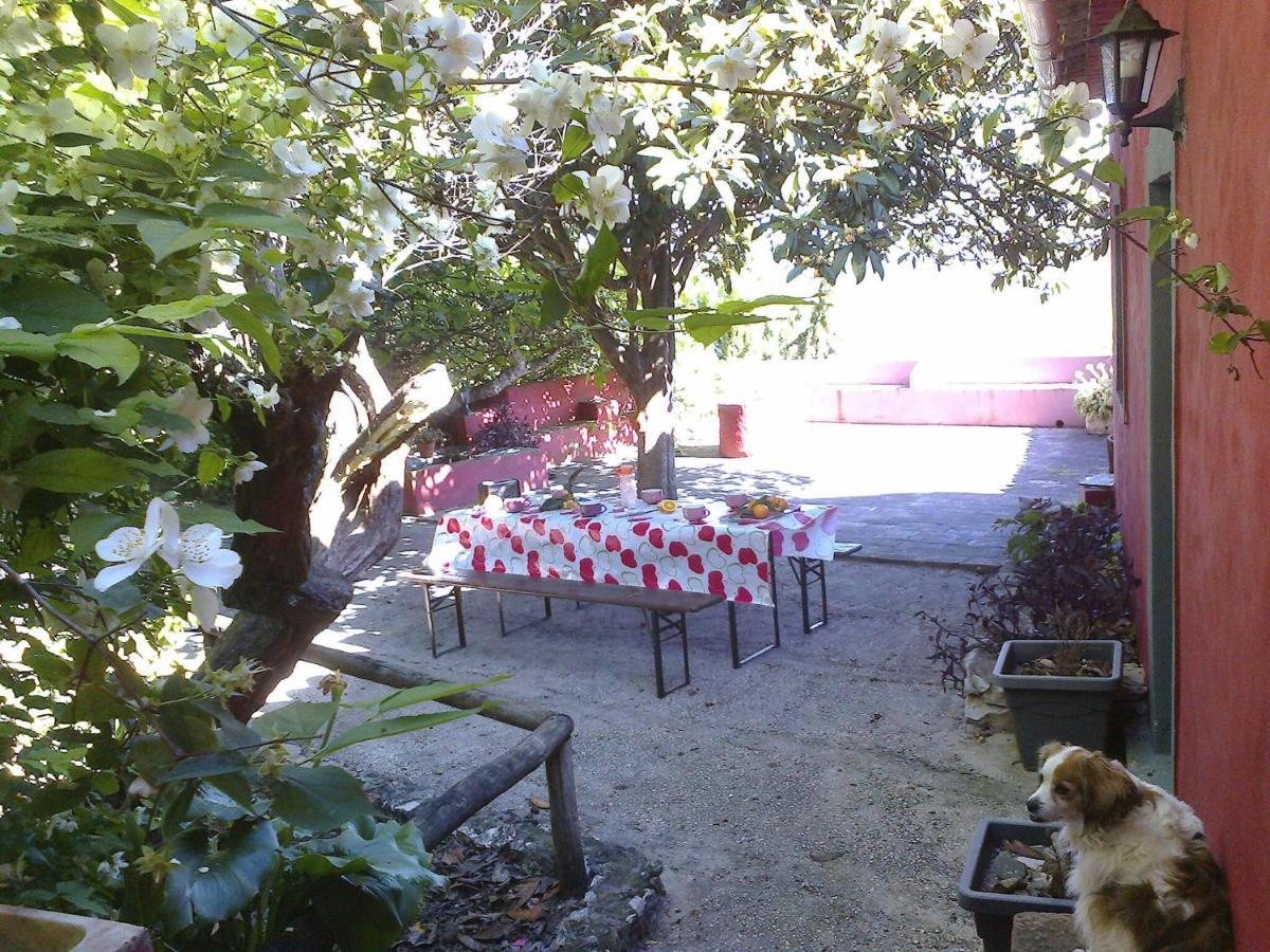 Casa Amoreira - Quinta Amoreira Lodge