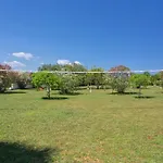 As Casas Do Algarve
