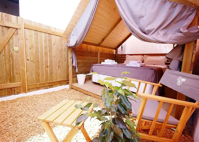 Lemon Tree Urban Camping