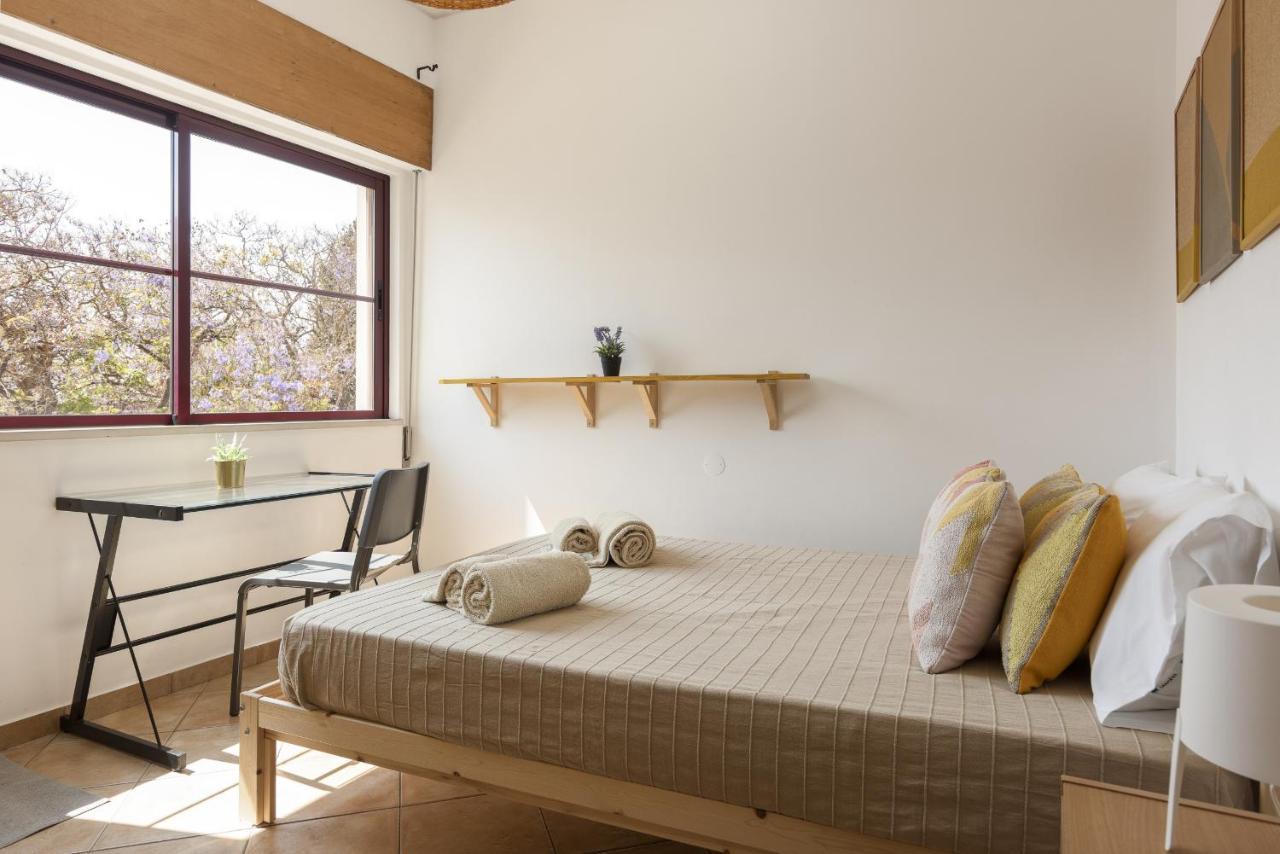 Apartment Casa Jardim Ii - City Center By Hd Faro