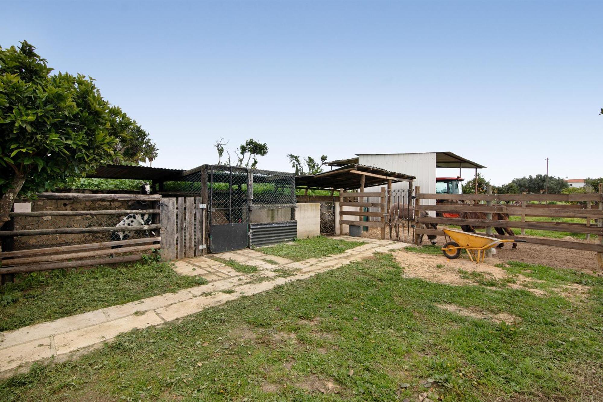Casa Pedra Rosa - Vinhas De Nexe Holiday home Faro