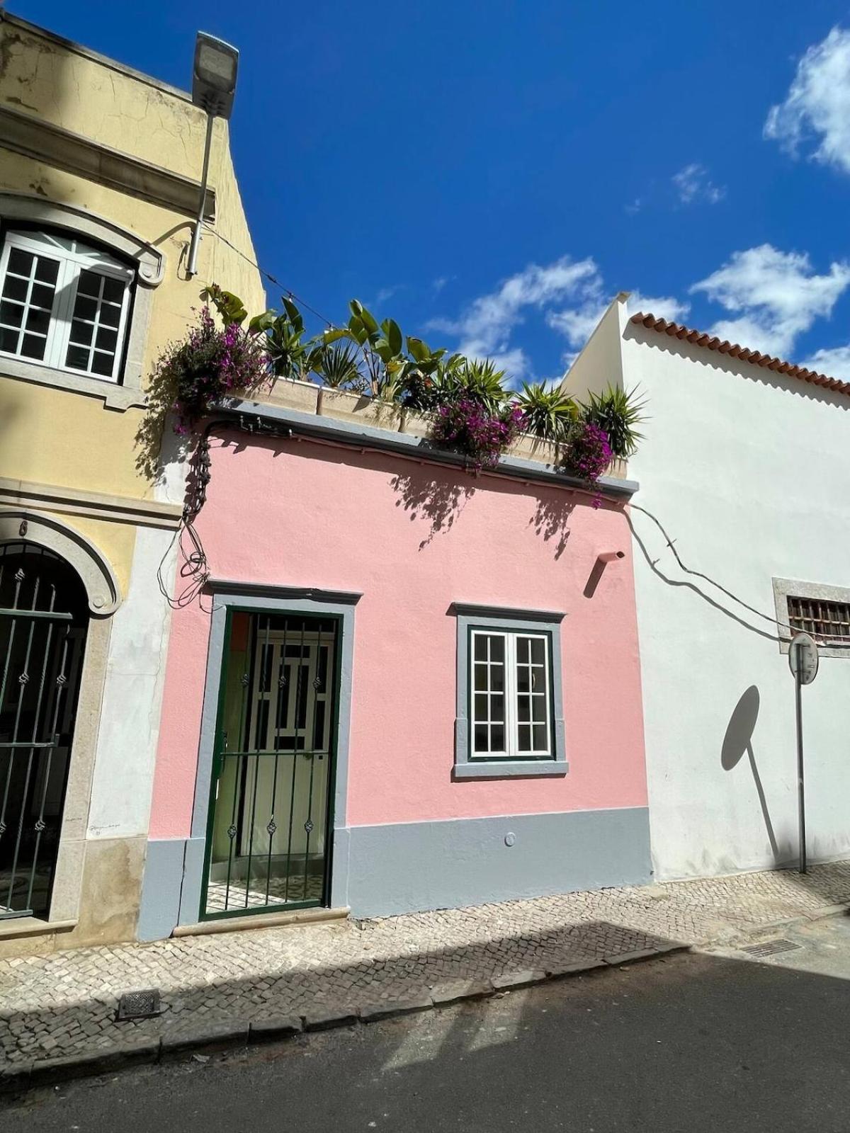 Arty House Casa Da Selva