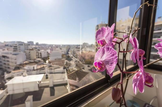 Brigida's Flat * Faro
