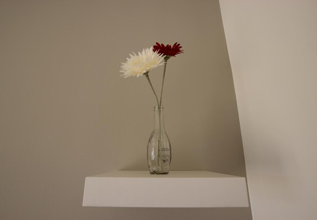 Apartamento Carmo Twenties *