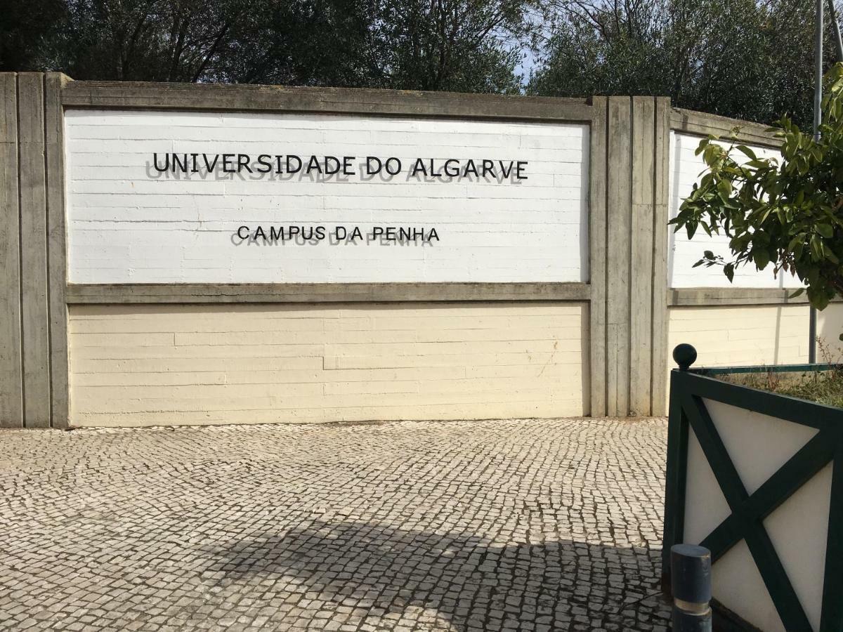 Apartamento Casa Do Marinheiro *